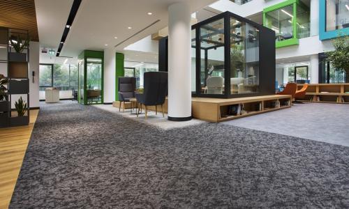 BAYER İLAÇ GENEL MÜDÜRLÜK - 1